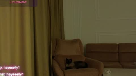 Ella NEXT STREAM 1TH DECEMBER 1200 - 0800 AM AT MOSCOW TIME online show from 8, 4, 2026