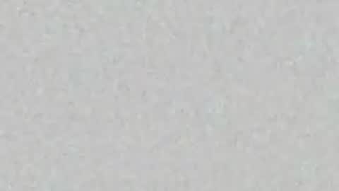 elle_hadid online show from 26, 6, 2026