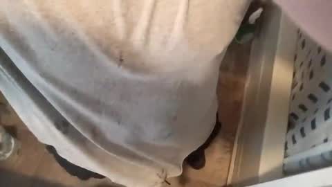 Snapshot of ellebonoparte chatting on 2, 11, 2025 ellebonoparte online show from 2, 11, 2025