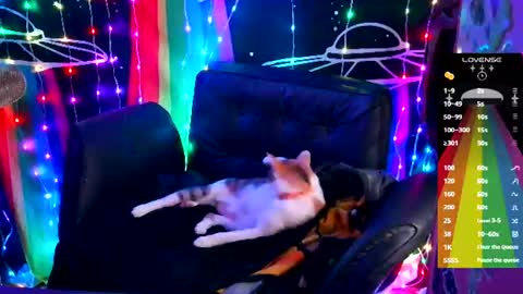 Snapshot of ellieobey chatting on 18, 6, 2026 Ellie online show from 18, 6, 2026