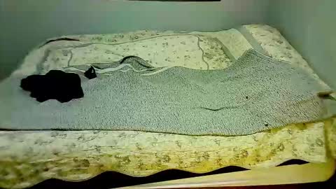 Elpouro online show from 7, 3, 2026