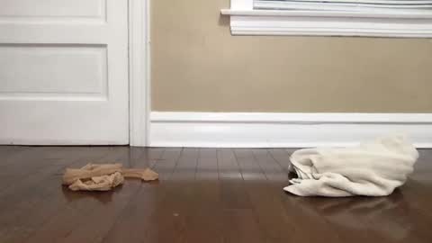 Bi Bro online show from 15, 10, 2025