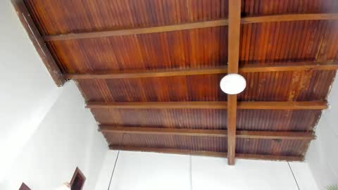 Emily  online show from 21, 2, 2026