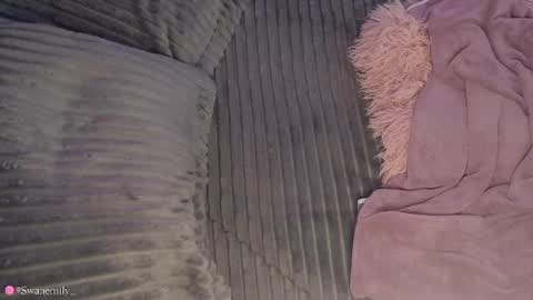 Snapshot of emily_swan_04 chatting on 2, 12, 2024 Emily  Swan online show from 2, 12, 2024