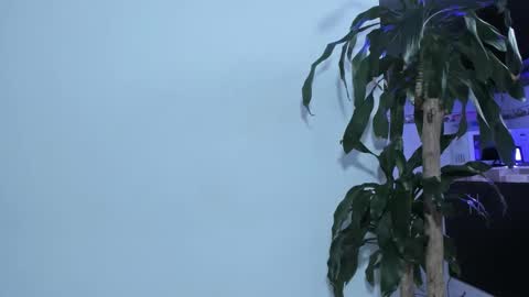 Emma online show from 22, 2, 2025