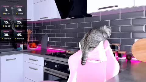 Shaiya online show from 28, 2, 2025