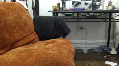 empusalamia online show from 18, 1, 2025