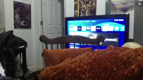 empusalamia online show from 25, 1, 2025