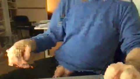 englefield online show from 15, 12, 2024