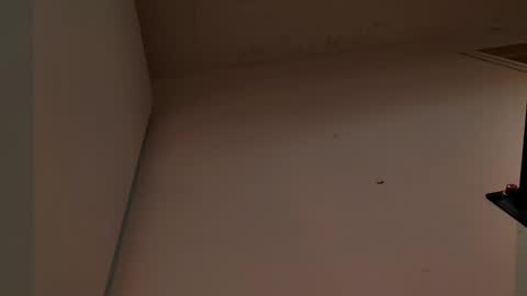 enzo_steel online show from 3, 11, 2025