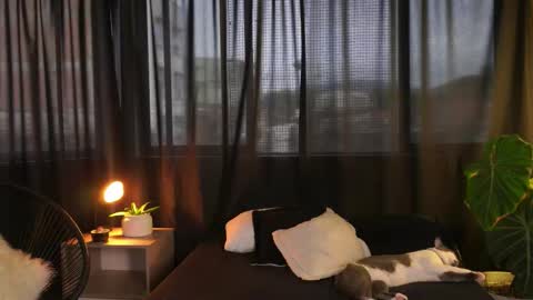 Eros Wild online show from 16, 12, 2025