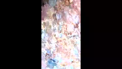 Snapshot of esteralcantara chatting on 9, 2, 2026 esteralcantara online show from 9, 2, 2026