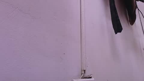 Estrella online show from 22, 2, 2025