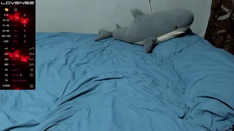 Eva online show from 16, 12, 2024