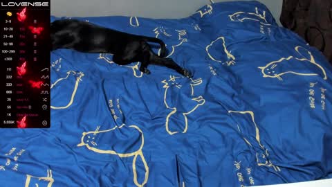 Eva online show from 19, 1, 2025