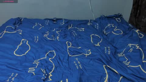 Eva online show from 28, 1, 2025