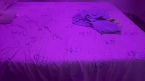 Snapshot of evandroribeiro chatting on 8, 4, 2026 evandroribeiro online show from 8, 4, 2026