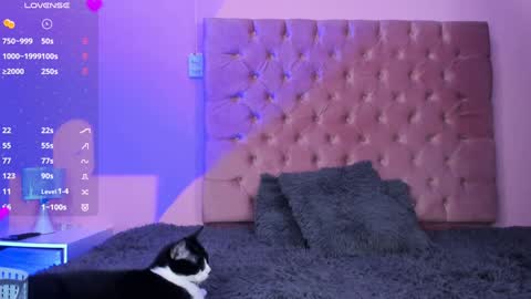 Snapshot of evaolimpo chatting on 8, 1, 2025 Eva Olimpo online show from 8, 1, 2025