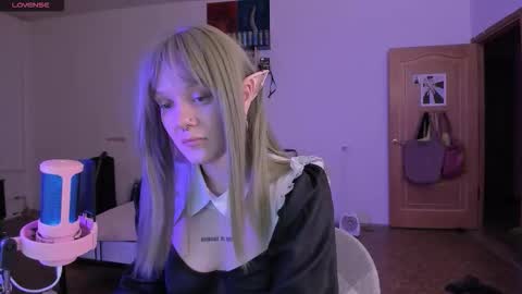      online show from 11, 11, 2025