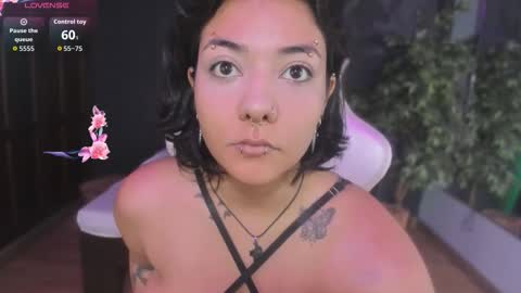  Evelyn  online show from 9, 1, 2026