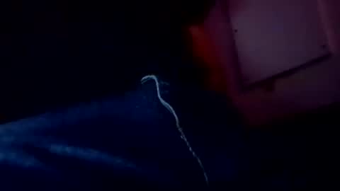 Snapshot of evocation514 chatting on 3, 2, 2025 Evocation online show from 3, 2, 2025