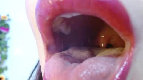 Evoleth online show from 15, 12, 2024