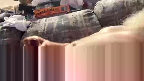 exploreyou online show from 8, 3, 2026