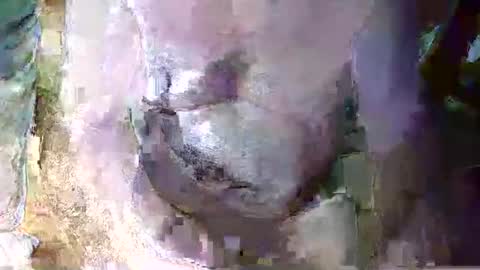 expogent online show from 10, 4, 2026