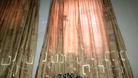 Nina online show from 11, 4, 2026