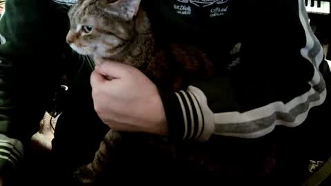 Fabius online show from 8, 1, 2025