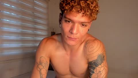 -  A N D E R online show from 1, 12, 2024