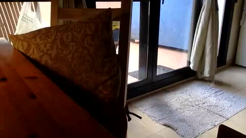 Fabro online show from 23, 4, 2026