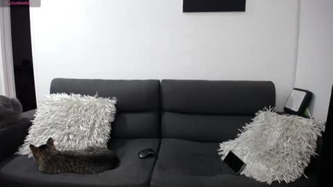 Snapshot of fallgays chatting on 22, 2, 2025 FallGays online show from 22, 2, 2025