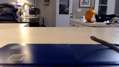 FarmGirl and Daddy online show from 11, 10, 2025