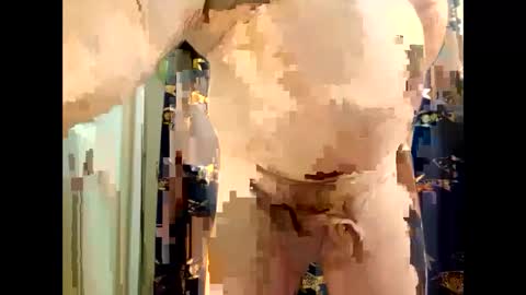 fatcat5000 online show from 11, 12, 2024