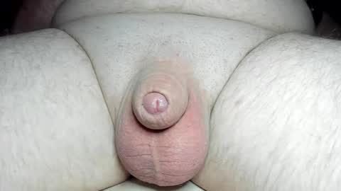 Fatmanscock online show from 5, 3, 2025