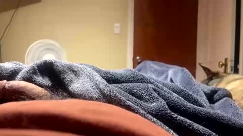 fatz71056 online show from 23, 12, 2025