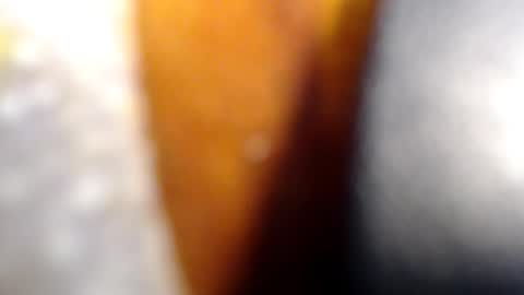 Snapshot of fckyariangel chatting on 10, 1, 2026 fckyariangel online show from 10, 1, 2026