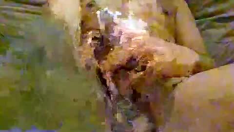 Snapshot of featuredcam chatting on 2, 6, 2026 FeaturedCam online show from 2, 6, 2026
