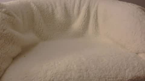 Snapshot of feels_too_good chatting on 9, 4, 2026 feels_too_good online show from 9, 4, 2026