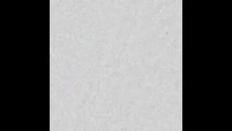 Allie North online show from 6, 3, 2026