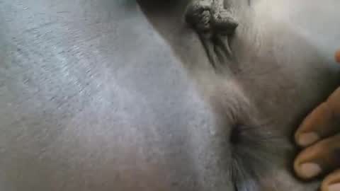 Snapshot of ferriena chatting on 27, 9, 2025 Ferie online show from 27, 9, 2025