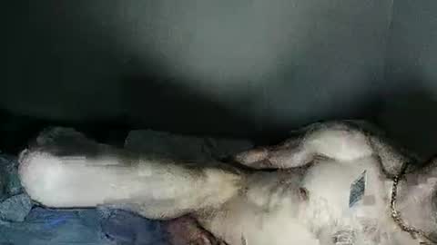 fetishsearch1abdl online show from 27, 2, 2025