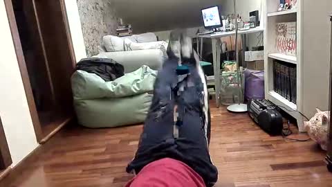 Fid online show from 9, 2, 2025