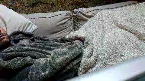 Fid online show from 24, 2, 2025