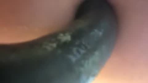 Snapshot of fillmylittlehole chatting on 2, 7, 2026 Fill My Little Hole online show from 2, 7, 2026