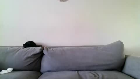 MilfnDaddy online show from 27, 12, 2024