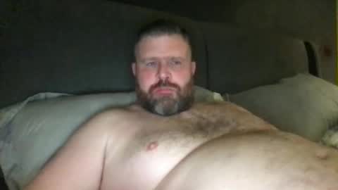 fin bear dom online show from 23, 11, 2025