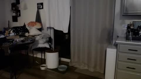 fishcatcherj online show from 6, 6, 2026