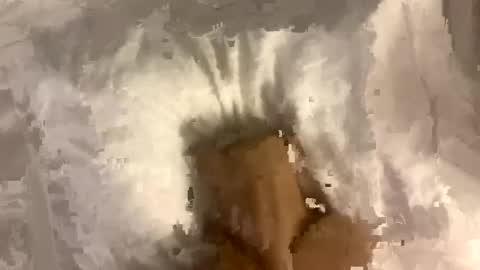 fixanything2000 online show from 12, 1, 2025